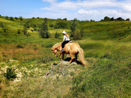 hyggedag_pa_trec_banen_5_20210619_1188328679