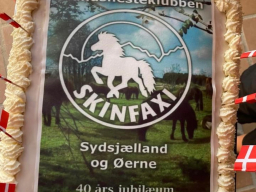skinfaxijubilaum_5_20220819_1543559285