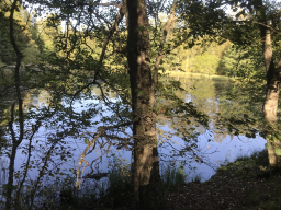 sverige_2020_1_20210112_1008147739