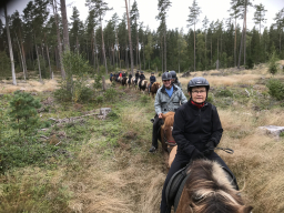 sverige_2020_5_20210112_1353142806