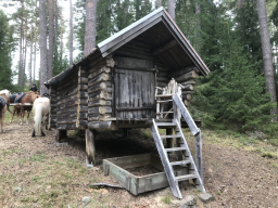 sverige_2020_6_20210112_1263899062