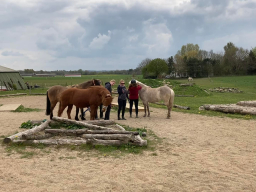 kursus_horsepark_sjaelland_1_20220529_1468339915