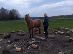 kursus_horsepark_sjaelland_3_20220529_1937565504