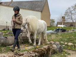 kursus_horsepark_sjaelland_4_20220529_2039121854